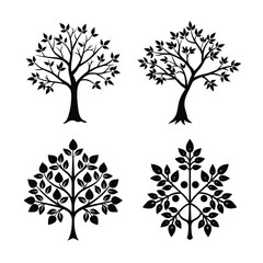 Palash flower branch and tree bundle