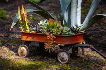 Beautiful Urn planter vase of flowers at Munsinger Gardens
