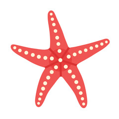 Flat vector cartoon of a red starfish with curved arms and light yellow dots. For sea life, summer, tropical, marine, vacation, beach, sea, ocean, kids design. Isolated white background. Hand drawn.