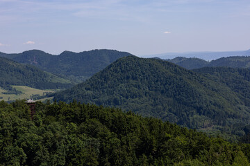 Lonely wooden observation tower hidden in vast green forest with mountain landscape in summer...