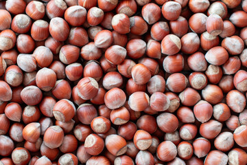 Close-up, many hazelnuts scattered across the surface create a textured food background to showcase food concepts such as healthy eating, snacking, and large harvest