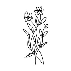 Simple line drawing of delicate wildflowers and green leaves on a white background.