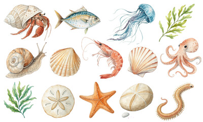 Watercolor Vector Set of Sea Creatures, Shells, Starfish, and Ocean Elements for Summer Designs
