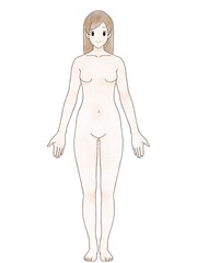 Fototapeta premium 解剖学的正位 女性 正面 水彩風 髪あり