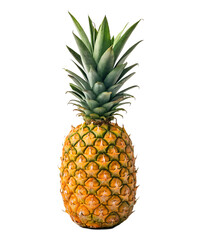 Pineapple with full crown standing upright on transparent background, high quality PNG

