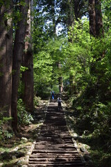 Fototapeta premium 羽黒山の石段 2446段は神社で日本一