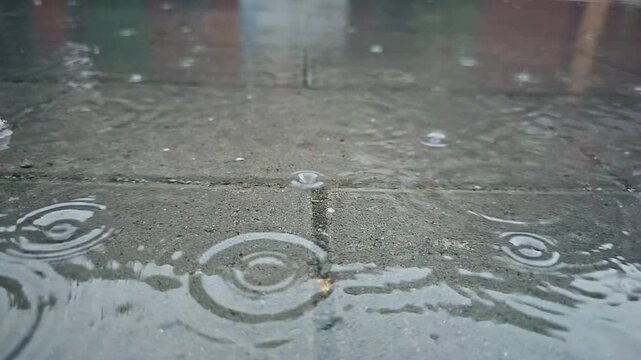 summer raindrops fall in puddles on walk pavement city paved road green grass side. Drops of heavy summer rain falling grey asphalt road city. stormy weather atmosphere daytime spring autumn fall