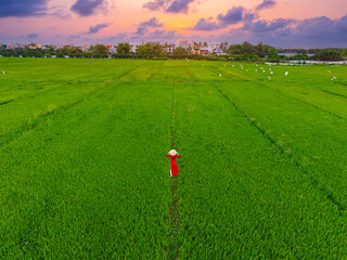 Woman in traditional red dress stands amidst vast green rice fields at sunset in hoi an, vietnam