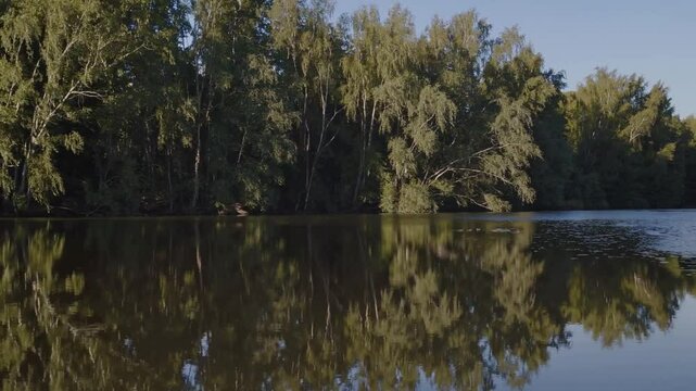 Arbres feuillus bordant un lac au coucher du soleil
