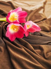 A pink flower is on a brown cloth with folds, selective focus.. Love and passion concept. Abstract...