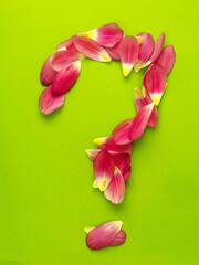 A bunch of pink flower petals are arranged to spell out a question. Concept of curiosity and...