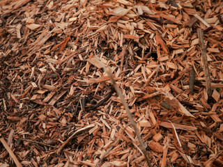A pile of wood chips is on the ground. The pile is brown and has a lot of wood chips, wood cutting...