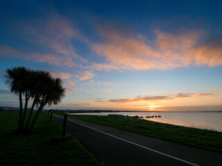 Silhouette of a small palm tree by a walking path against dramatic blue and orange sunrise sky. Nobody. Magnificent nature scene with warm and cool tones.