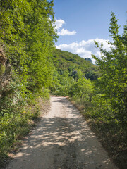 Obraz premium Summer view of Erma River Gorge, Bulgaria