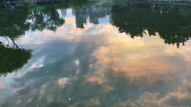 Trees, buildings and clouds reflection on water surface at sunset. (4K video)