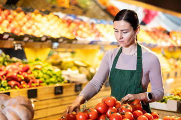 Supermarket employee carefully places ripe tomatoes on shelves of a grocery supermarket