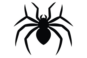 spider on a white background