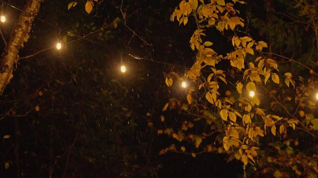 Windy autumn evening with tree branches and patio lights during rainstorm