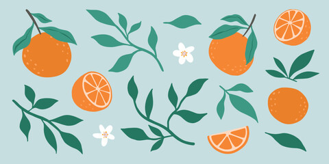 Fresh juicy orange fruit flowers and leaves isolated on a green background. Colorful half and whole orange with a leaf. Perfect for juice or jam. Vector illustration.
