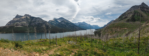 Panoramic View of Waterton Lakes National Park Showing Fire Recovery and Majestic Mountains