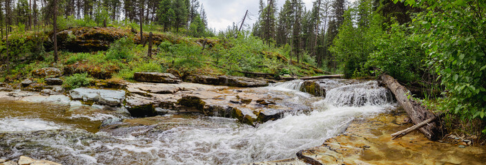 Pinkham Falls: Cascading Water Through a Lush Forest in Montana