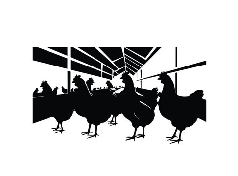 black chickens in a barn clip art preview