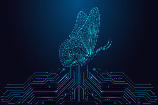 Digital transformation and personal growth concept with butterfly on tech circuit background