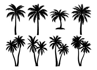 Set of 9 minimal vector palm tree silhouettes in various shapes. Centered and isolated on transparent background with no ground or soil. Ideal for tropical, summer, and clean design compositions.