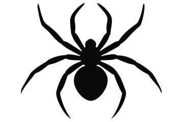 black widow spider