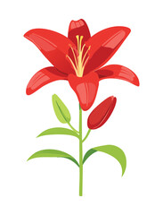 Bold Red Lily Blossom Intense Floral Illustration
