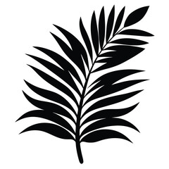 Elegant Palm Frond Silhouette Tropical Plant Illustration