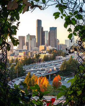 Seattle City Skyline Framed by Chain Fence