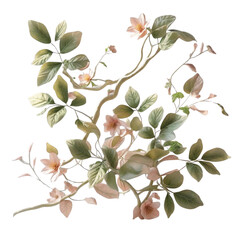 Botanical illustration of flowering tree branch with pastel flowers and leaves for spring nature concept art on transparent background