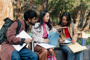 College students studying outdoors