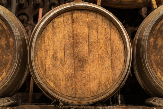 Wine cellar with oak barrels aging showing the concept of winemaking tradition