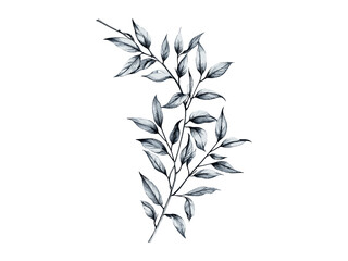 Vintage engraving of willow branches, hand-drawn botanical sketch, rustic nature tree decor, eco-friendly print, black sketch, old engraving style, retro tree art, boho chic wall decor