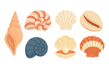 Cartoon collection of colorful sea shells and pearl. Flat vector illustration for summer and beach theme.
