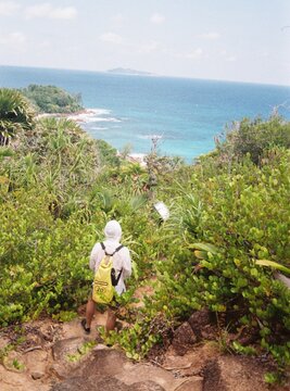 Hiker explores lush coastal trail in tropical paradise
