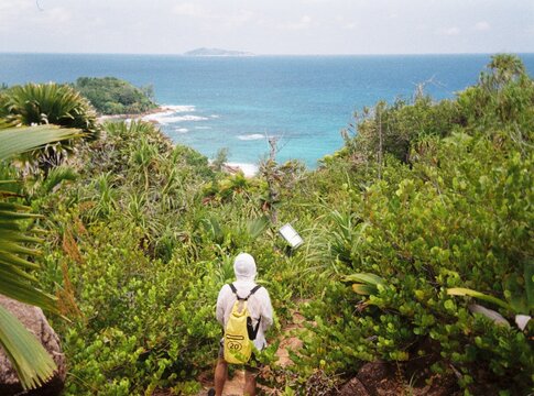 Hiker explores lush coastal trail in tropical paradise