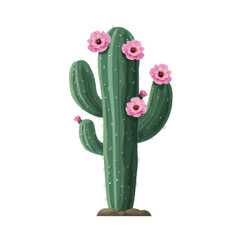 Cactus with Pink Flowers