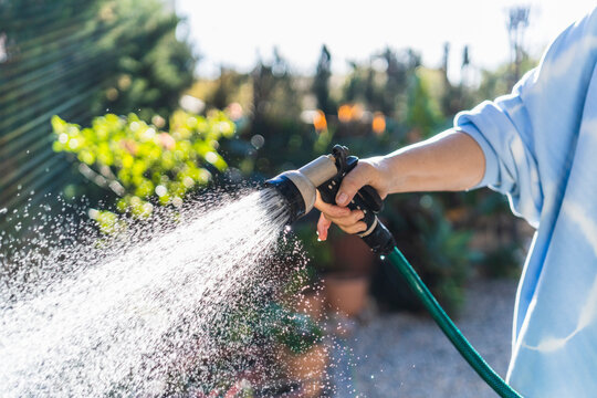 Mother watering garden with hose on sunny day - Powered by Adobe