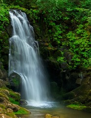 Sol Duk waterfalls in a canyon with fern plants on the walls. Olympic National Park. WA. USA