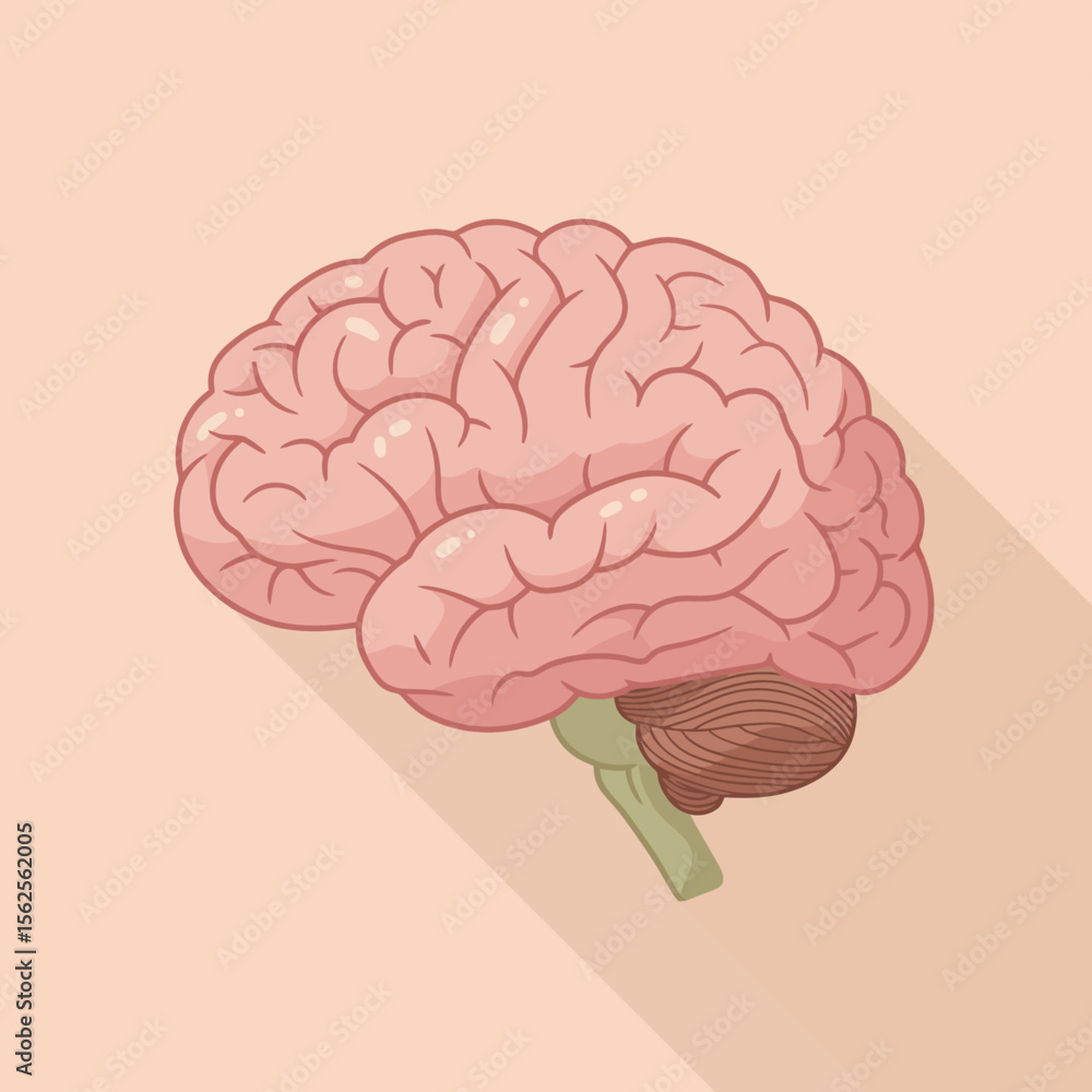 Poster exploring the intricacies of the human brain understanding its complex structures and functions for 