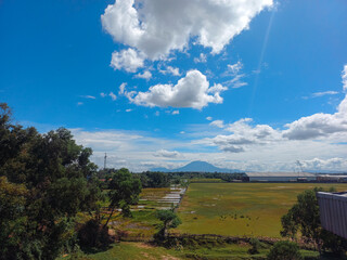 A peaceful field stretches beneath a bright blue sky, with fluffy clouds floating above and a...