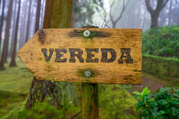 Arrow indicating a path in the Fontinhas forest park with dense vegetation on a foggy day in Santa Maria. Arrow indicating a path in the Fontinhas forest park with dense vegetation on a foggy day
