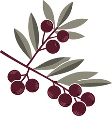 Obraz premium Olive branch with dark red berries and muted green leaves vector graphic design illustration natural elements decoration