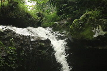 waterfall in the forest