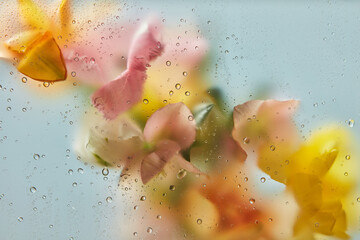 Dreamy spring bouquet seen through wet plastic film