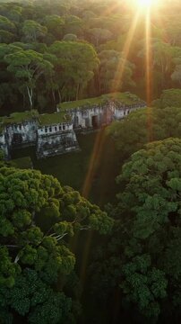 Sunbeams illuminate ancient mayan ruins nestled in the lush jungle