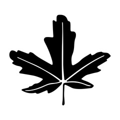 Leaf icon